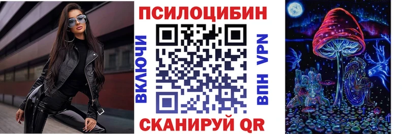 Галлюциногенные грибы Psilocybe Комсомольск